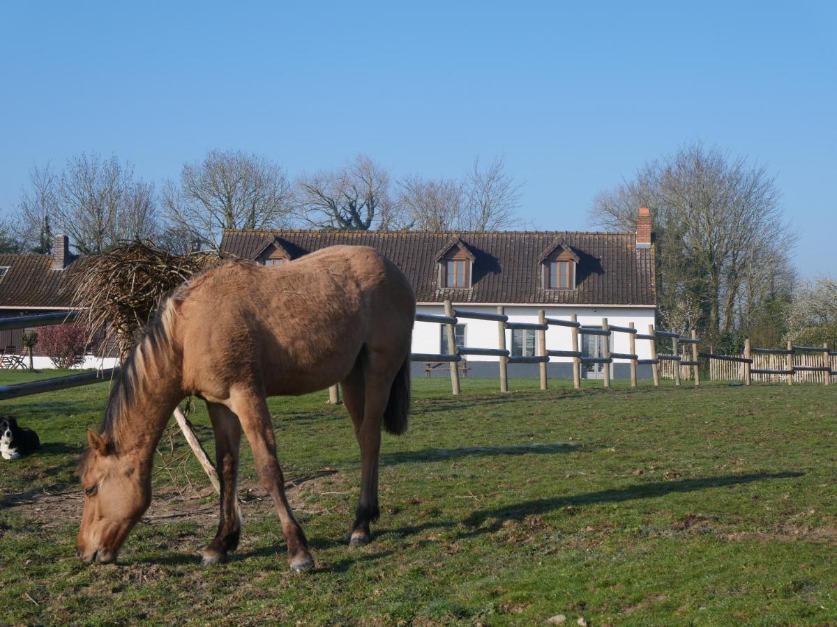 Chambres D'Hotes Et Gite De La Vieille Ecluse Quend Exterior foto