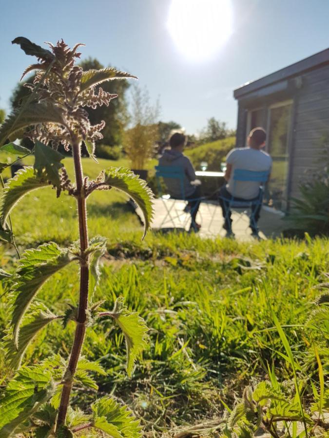 Chambres D'Hotes Et Gite De La Vieille Ecluse Quend Exterior foto